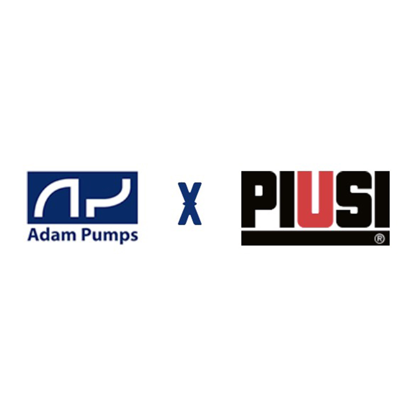 PUMP 240V AC 100lpm PA2